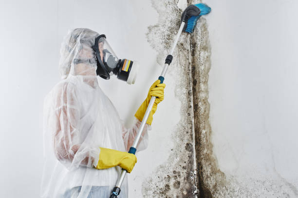 Mold Documentation for Insurance Claims in Eaton Estates, OH