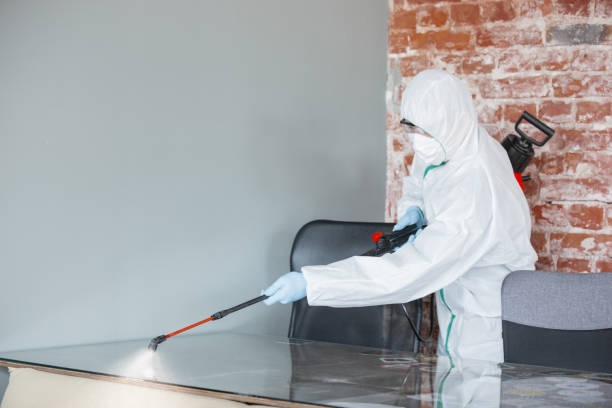 Best Mold Prevention Services  in Eaton Estates, OH