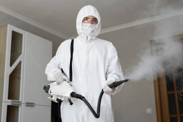 Best Mold Odor Removal Services  in Eaton Estates, OH